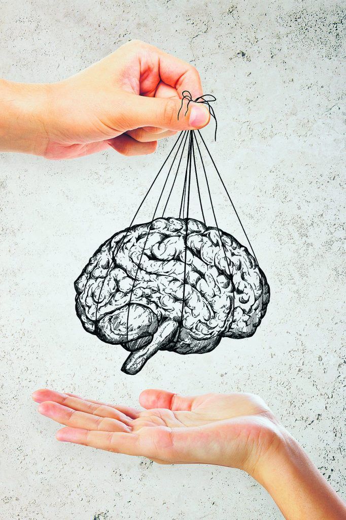 Ursprung der Intelligenz