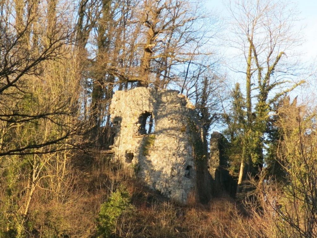 Dickicht um Ruine Neuburg in Koblach: Freiwillige &#8220;Gartenpfleger&#8221; dringend gesucht