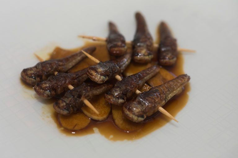  Die Heuschrecken in Teriyaki-Marinade serviert die 32-Jährige zu einem Salat.  