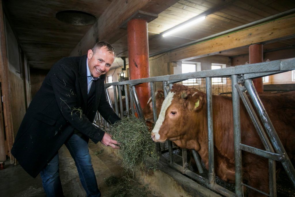 So betreibt der Dorner Hof in Sibratsgfäll nachhaltige Landwirtschaft