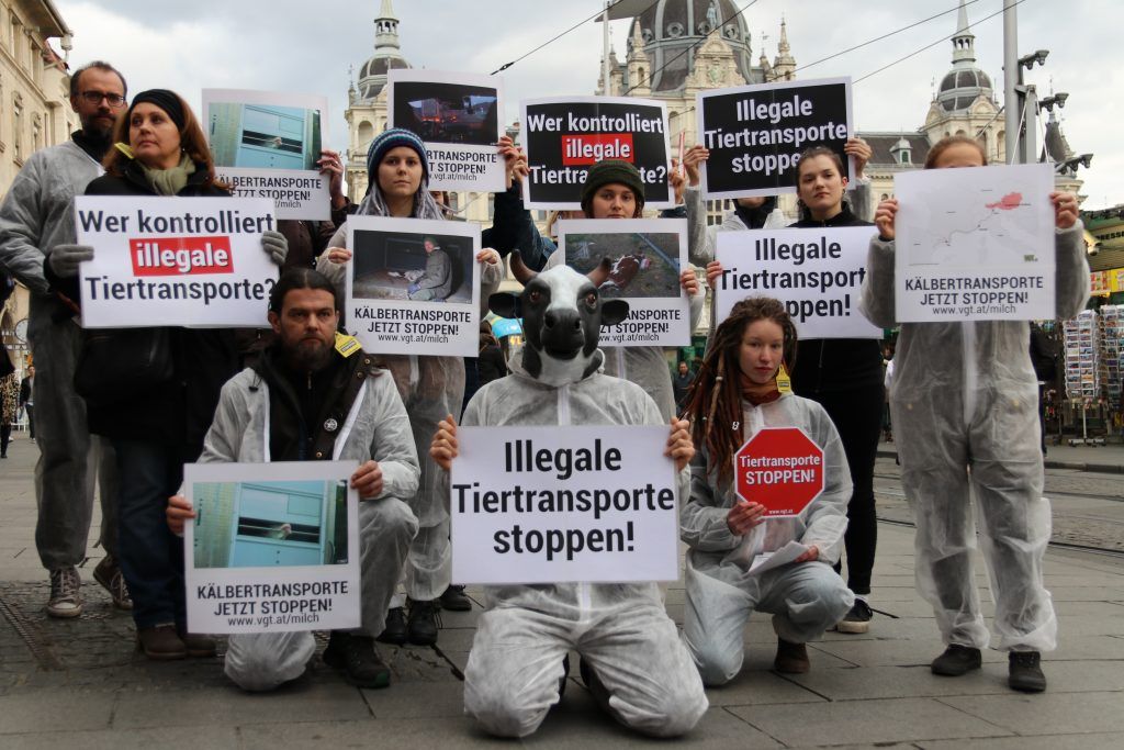 VGT verlässt Tierschutztaskforce