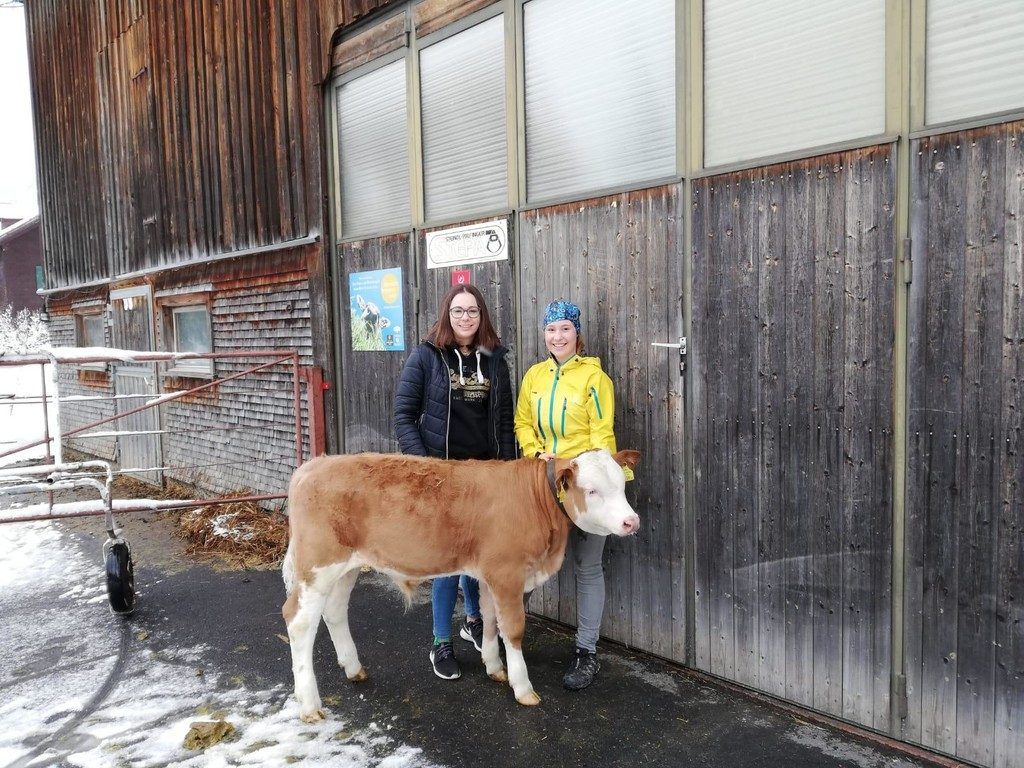 Jasmin, Aileen und Basti