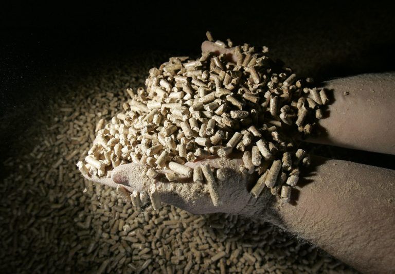 ** ARCHIV ** Holzpellets aus gepressten Holzspaenen zeigt am 15. Maerz 2007 ein Mitarbeiter der Lugauf-Halle, einer mit Holzpellets beheizten Mehrzweckhalle in Ludwigsburg bei Stuttgart. Wegen des frostigen Winters ist die Nachfrage nach Holzoefen noch groesser als normalerweise um diese Jahreszeit. Im Januar wurden bislang schon rund zehn Prozent mehr verkauft als im gesamten Monat des vergangenen Jahres verkauft, wie der Industrieverband Haus-, Heiz- und Kuechentechnik (HKI) am Montag, 12. Jan. 2009, mitteilte. (AP Photo/Thomas Kienzle, Archiv) ** zu unserem KORR. APD7307 ** --- ** FILE ** In this March 15, 2007 file photo wood pellets for the heating sytsem of the Lugauf hall, a multiple function hall in Ludwigsburg near Stuttgart, southwestern Germany, are seen in its storage room. (AP Photo/Thomas Kienzle, File)