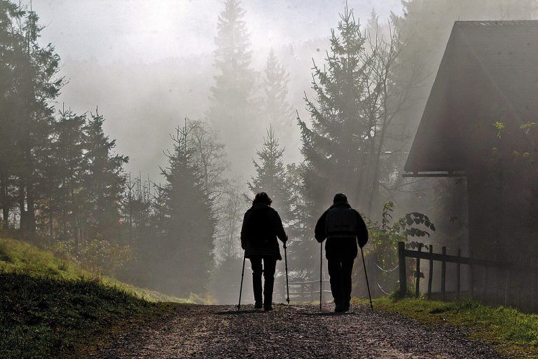 Auch eine Nebelwanderung kann schön sein. Deshalb nicht von der „Suppe“ abschrecken lassen. Foto: VN/Steurer