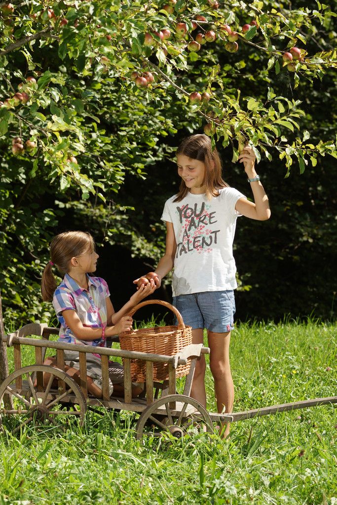 Bei der Obsternte mithelfen ist für Kinder ein Spaß. Foto: berchtold