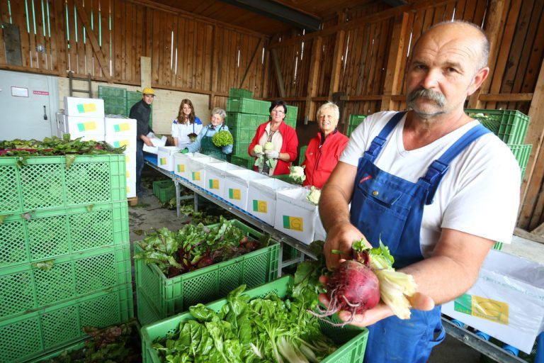 Biobauer Karl Kühle mit Gemüsekiste. Foto: VN/Hartinger