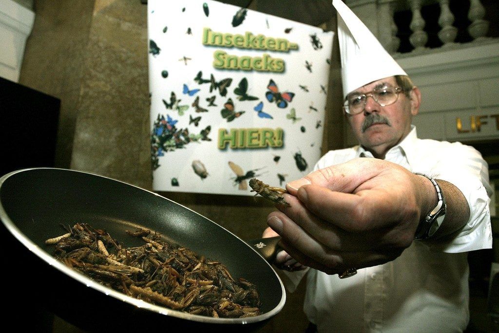 Wovor sich unsereins ekelt, ist in Asien, Afrika und Lateinamerika Delikatesse: Insekten.
