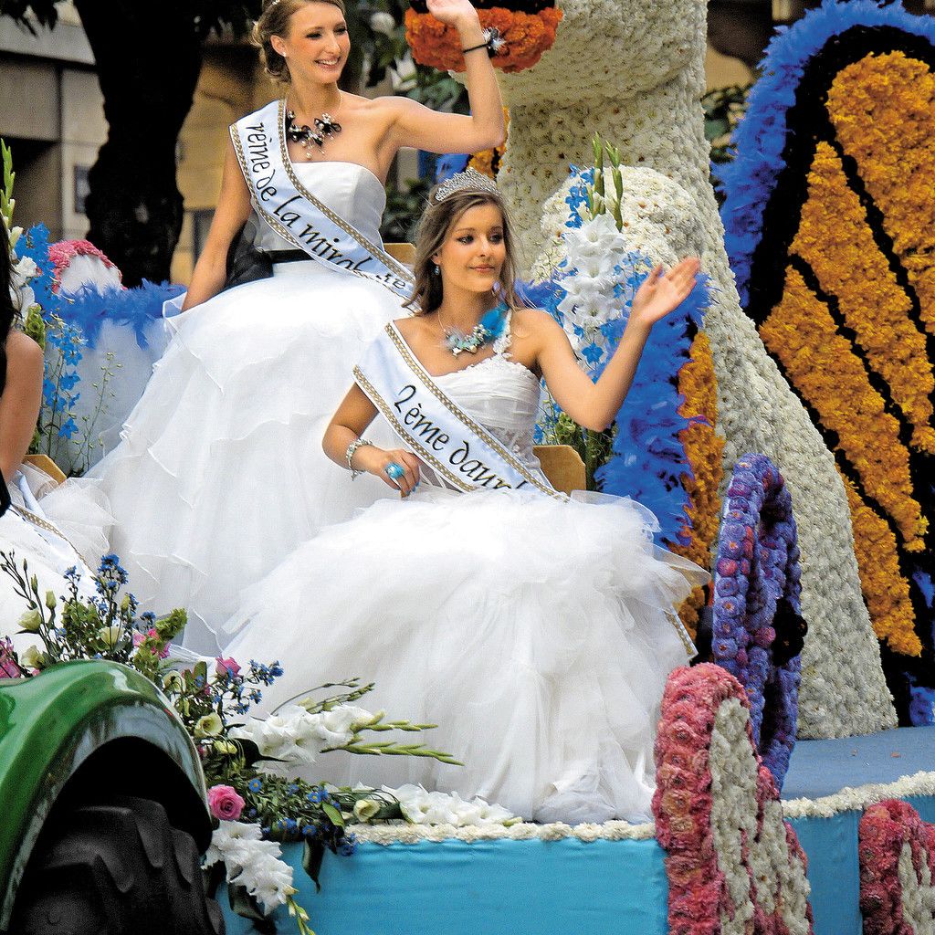 In Lothringen begeht man das Fest der Mirabelle