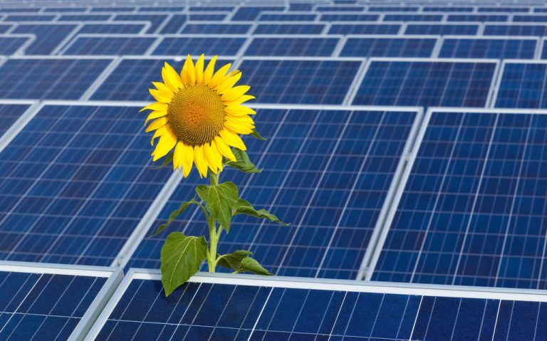 Das Vergabesystem für Photovoltaikanlagen kostet die Antragsteller viel Zeit und Nerven. Foto: dpa