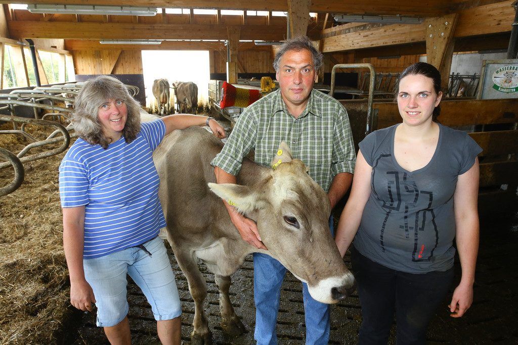 Die Bauernfamilie Gaßner in Frastanz-Gampelün hat für ihre Kühe ein „Hotel“ errichtet.