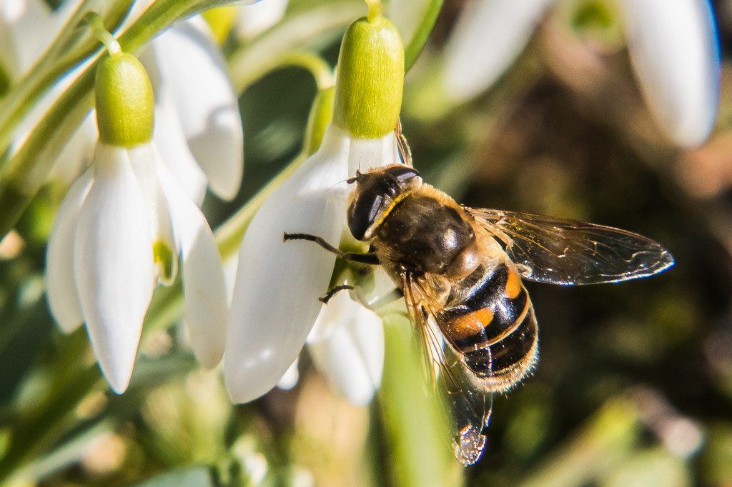 Expertengruppe der Regierung für nachhaltige Finanzprodukte