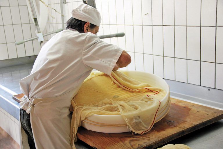 Der frische 33-Kilogramm-Laib muss am ersten Tag mehrmals gewendet und eingeschlagen werden.
