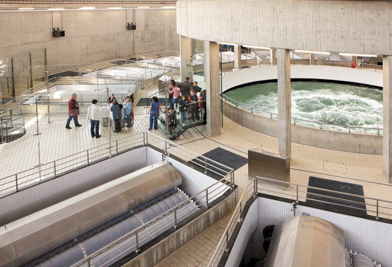 Der Quelltopf am Sipplinger Berg sprudelt heute aus Sicherheitsgründen hinter Glas. Foto: BWV