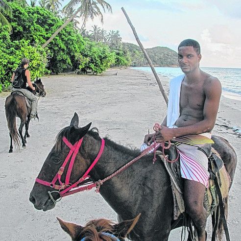 Hoch zu Ross über die Insel