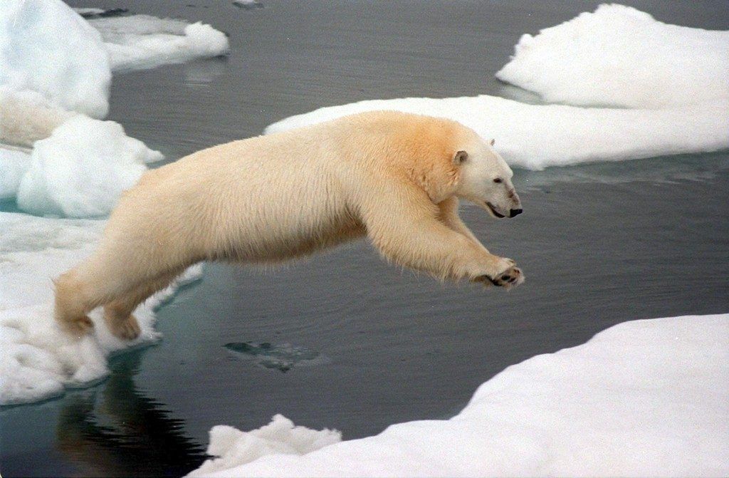 Bei den Klimaprognosen ist Skepsis angebracht. Da ist auch Panikmache im Spiel.