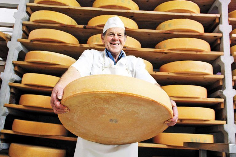Ein Prachtexemplar von Alpkäse hält Manfred Kohler von der Alpe „Schönermann“. Fotos: VN/Maier-Ortner