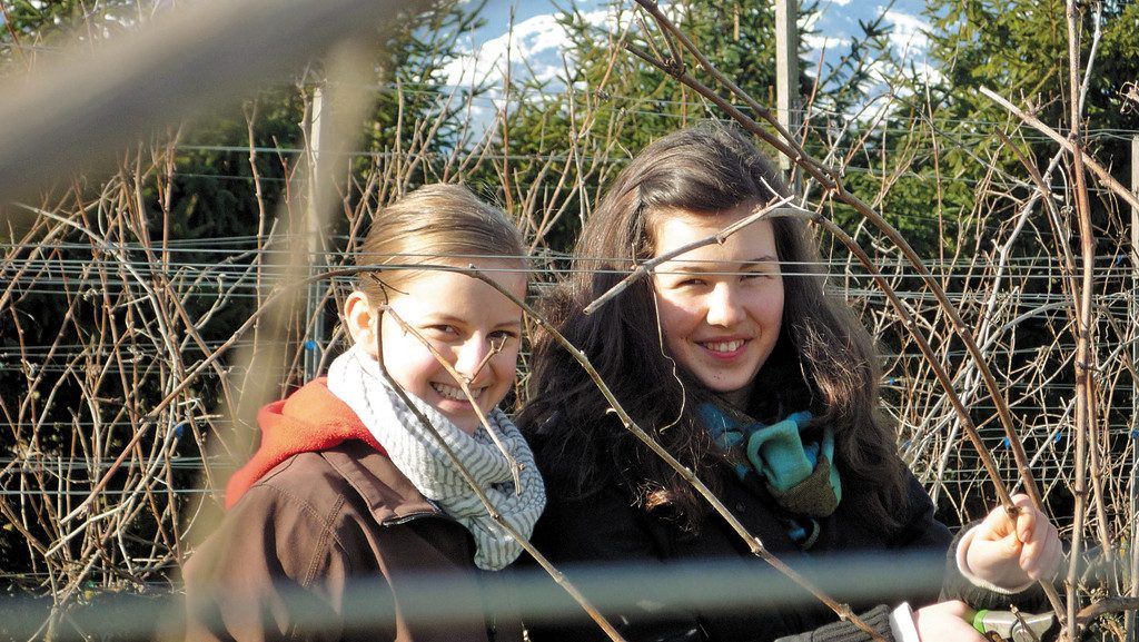 Elisabeth und Isabella beim Rebenschneiden