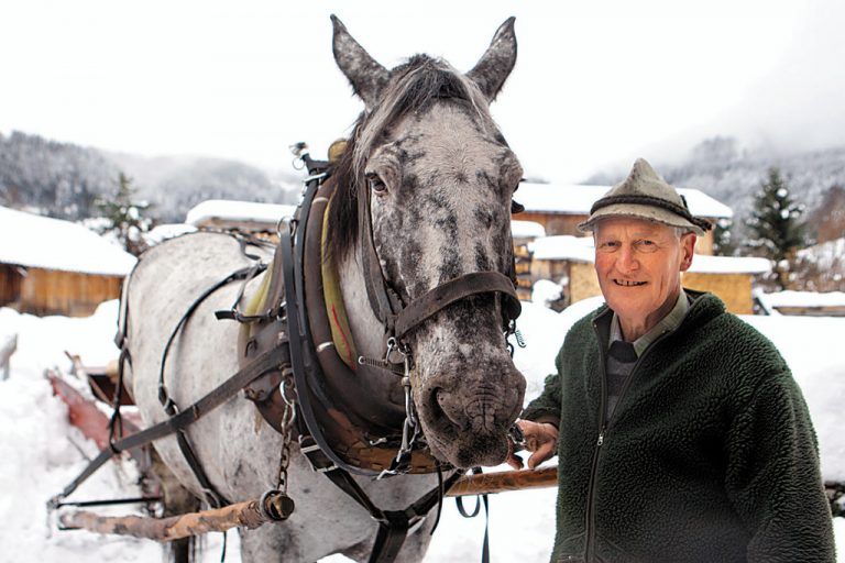 Ferdinand Kaufmann und seine „Gerti“ fühlen sich wohl im Schnee. Foto: VN/Hartinger