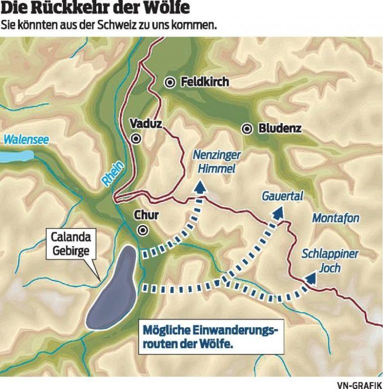 „Rechne damit, dass Wölfe in Vorarlberg eindringen“