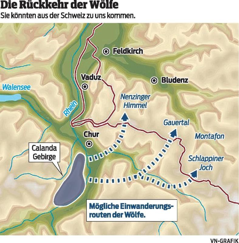 In Graubünden sorgen die Vierbeiner für Diskussionen. Sie haben schon Schafe gerissen.