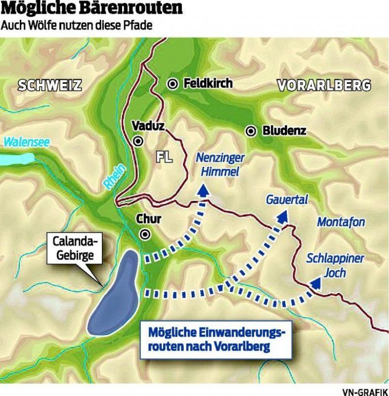 Die Partnerschaft mit „Meister Petz“
