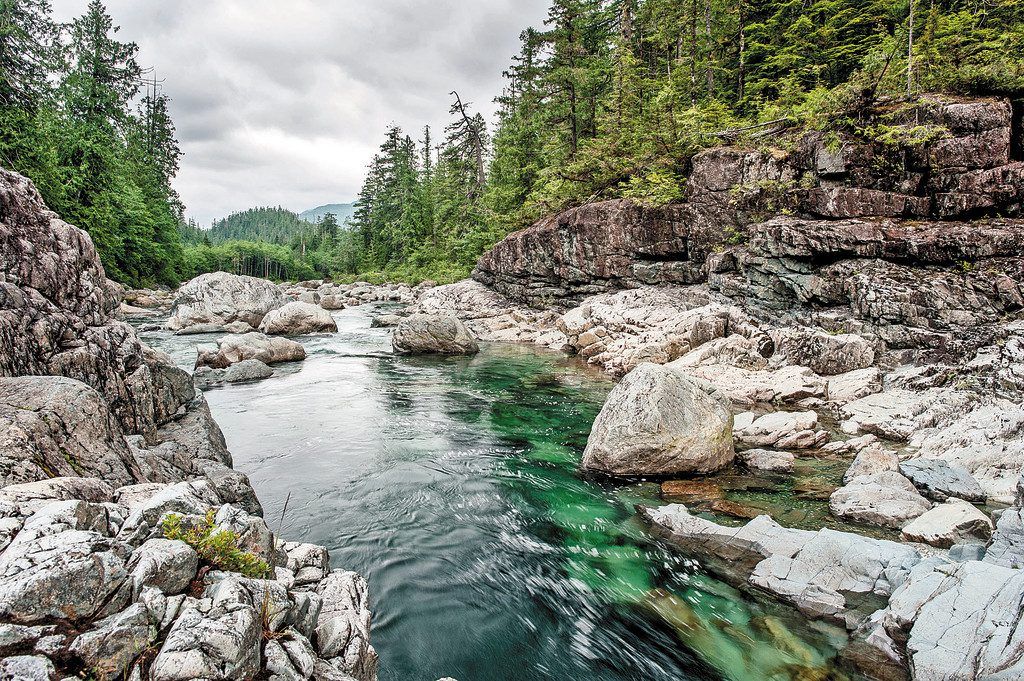 Unberührte Natur auf Vancouver Island