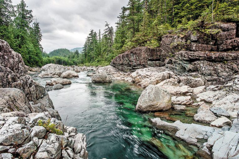 Unberührte Natur auf Vancouver Island
