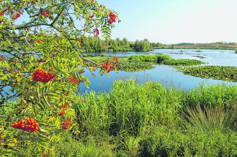 Strände, Städte und Schlösser