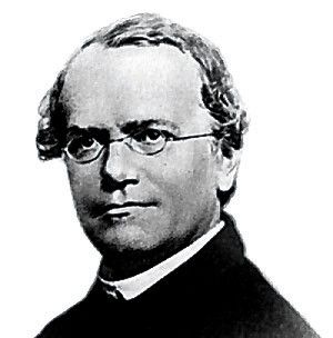 Georg Mendel