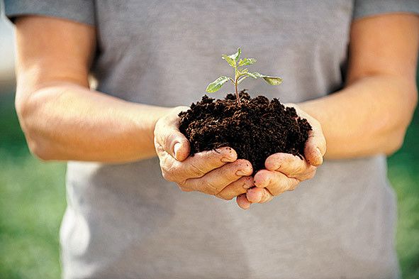 Engagierte Schulklasse gesucht