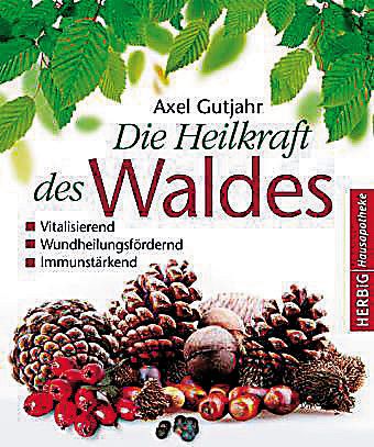 Die Heilkraft des Waldes