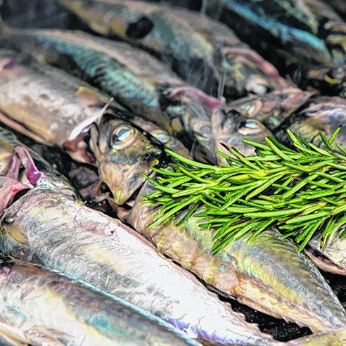 Frisches Essen aus dem Meer