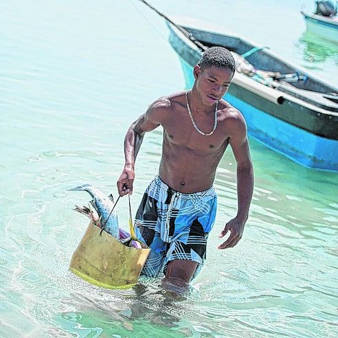 Aus dem Meer auf den Tisch