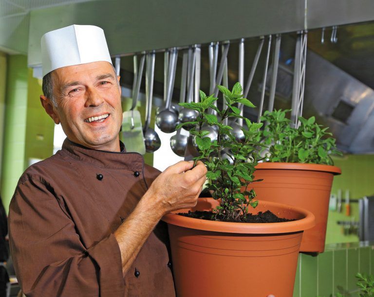 Frische Produkte aus dem hauseigenen Garten sind dem Koch Thomas Wachter wichtig. Foto: VN/HOFMEISTER