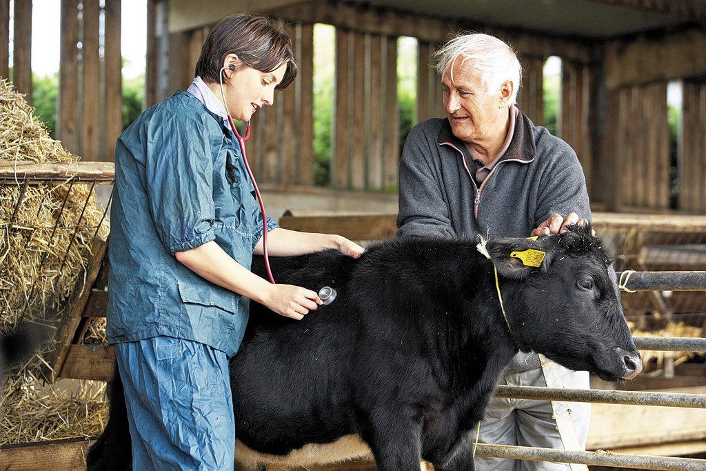 Tierärztekammer-Präsident Kohler (35) für bisherige Vergabepraxis amtlicher Aufträge.