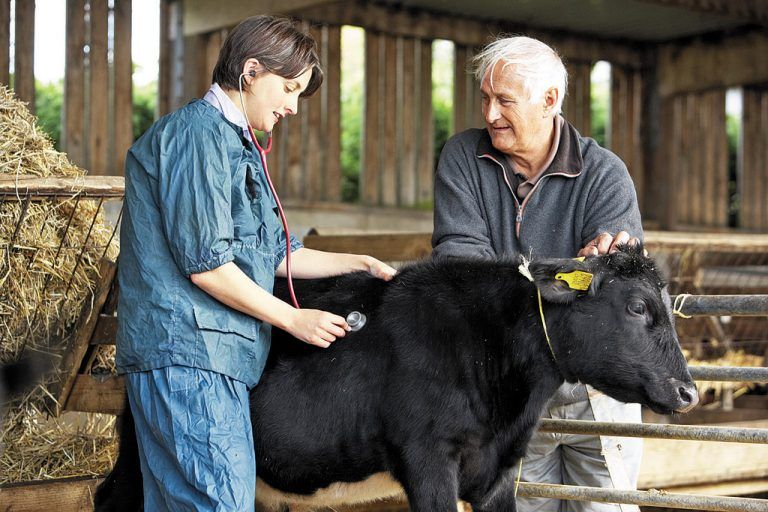 Haben einige Tierärzte Privilegien? Tierärztekammer-Präsident Kohler glaubt, dass alles bestens ist. Foto: fotolia