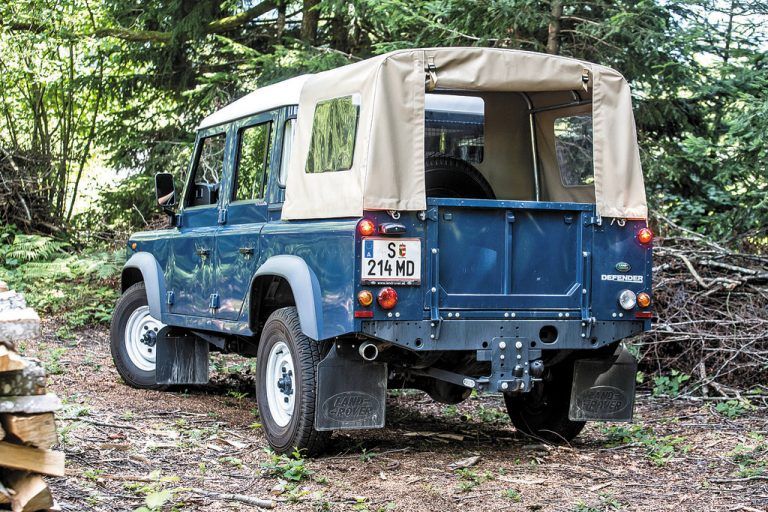 In der Pick-Up-Version ein echtes Arbeitstier.