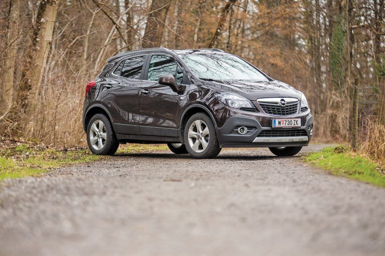 Leichter Geländegänger: Zu Abstechern abseits asphaltierter Pisten ist der moderne Soft-Offroader durchaus bereit. Fotos: vn/steurer