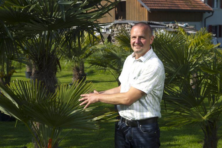 Marcus Schwark: „Kunden werden über den Kauf hinaus bei der Pflege der Palmen beraten.“ Foto: VN/Paulitsch