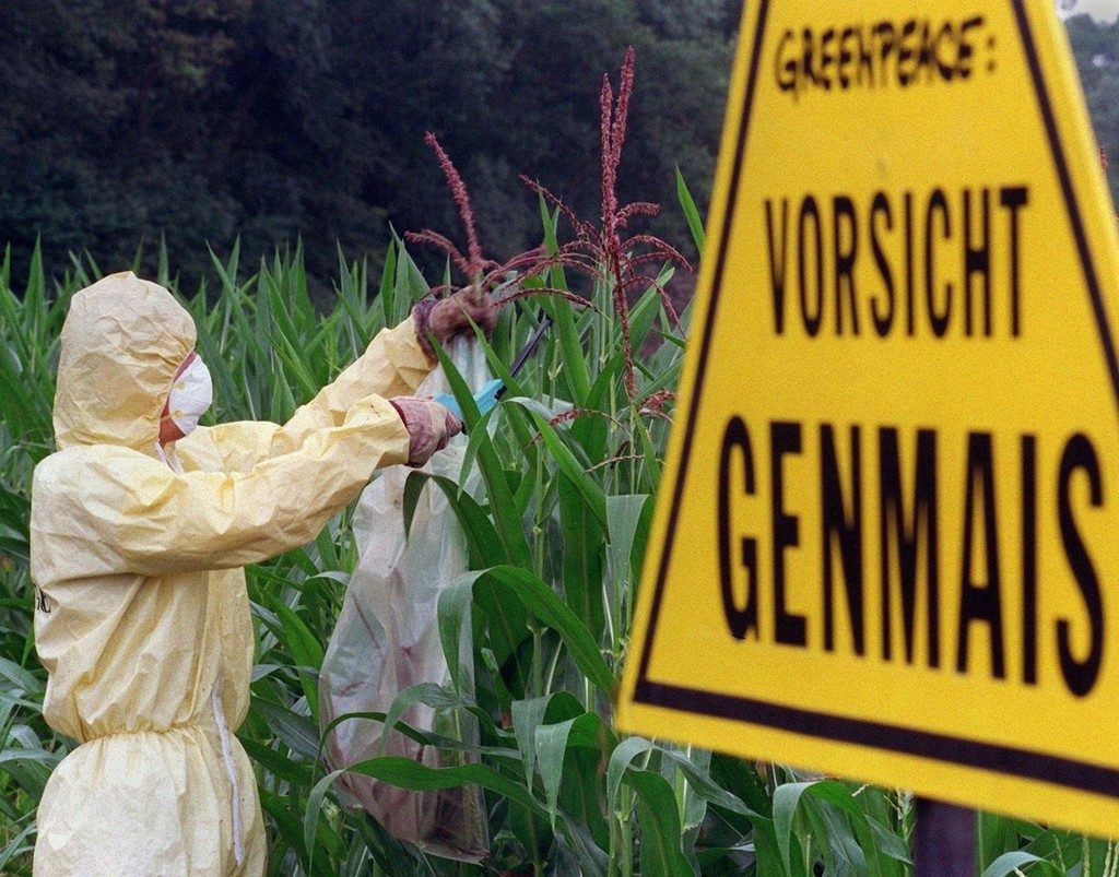 Warum der Schaden durch Gentechnik für die Menschen größer ist als der Nutzen.