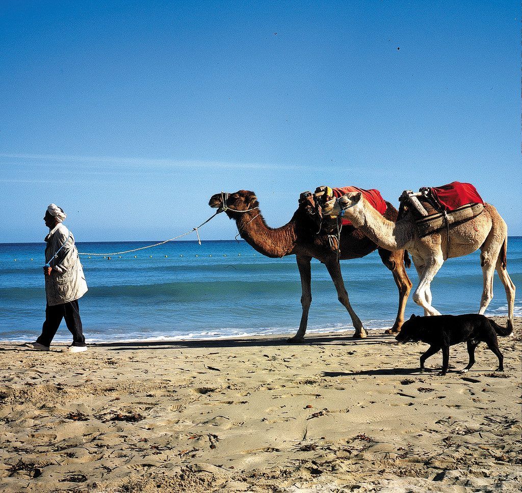 Tunesiens Sonneninsel im Mittelmeer