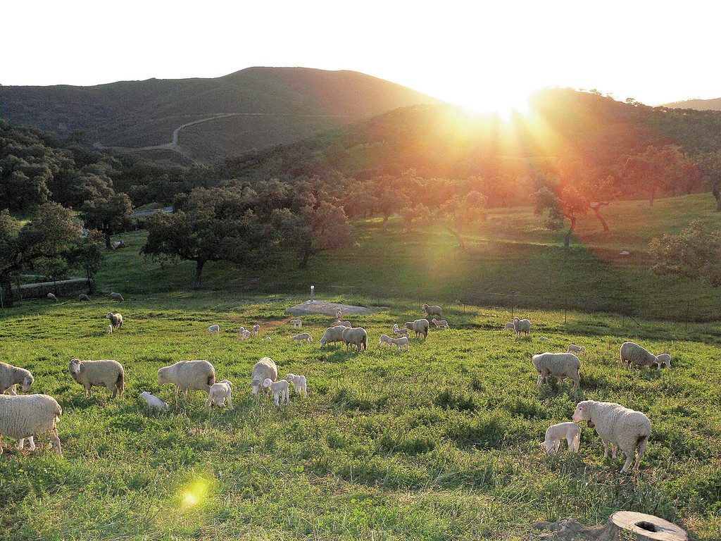 Unter der Sonne Andalusiens