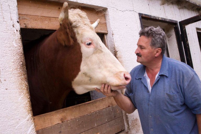 Reportage vom Gnadenhof des Rudi Laengle doren