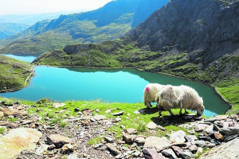 Seen, Wasserfälle und Berge machen den Park zu einem wahren Naturparadies.