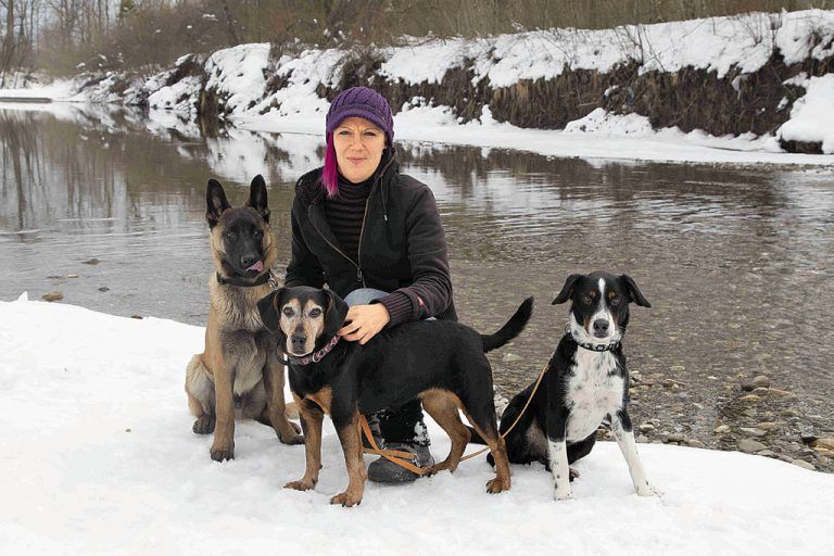Tiere riechen, hören und fühlen Dinge, die dem Menschen verborgen bleiben. Foto: vn/paulitsch