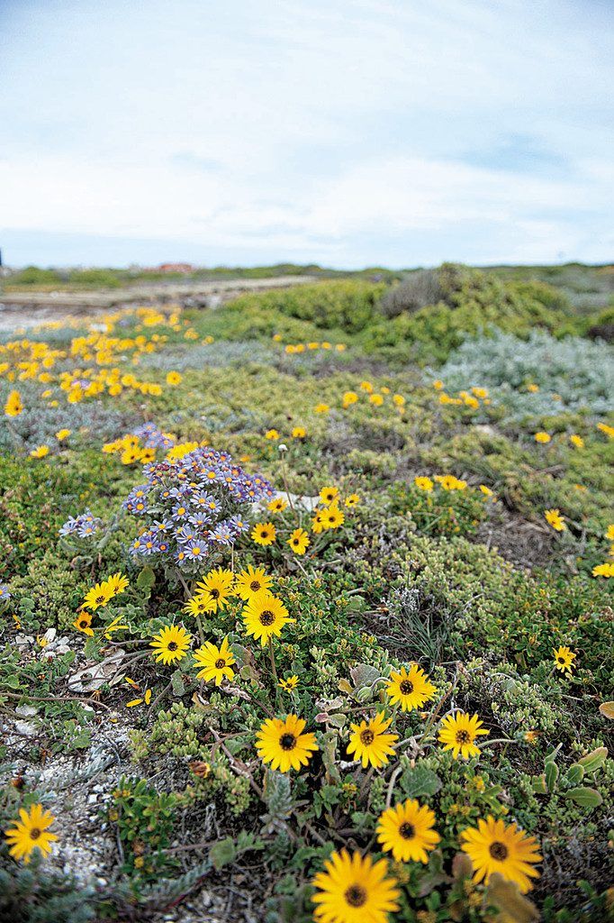 Der De-Hoop-Nationalpark