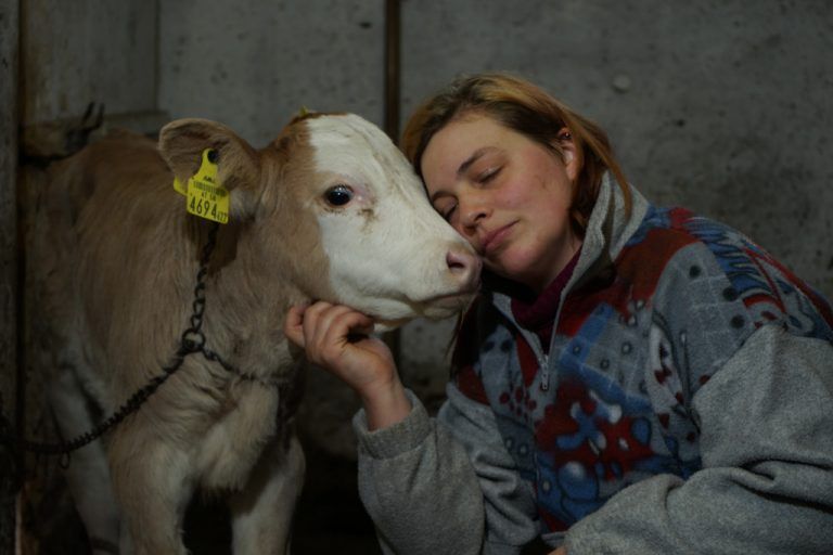 Wie gut, dass es Florian gibt. Für Michaela spendet das reizende Kälbchen Trost.  fotos: VN/hartinger
