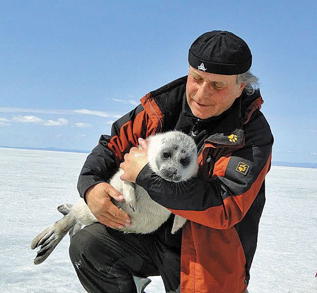 Der Polarbahn hinterher