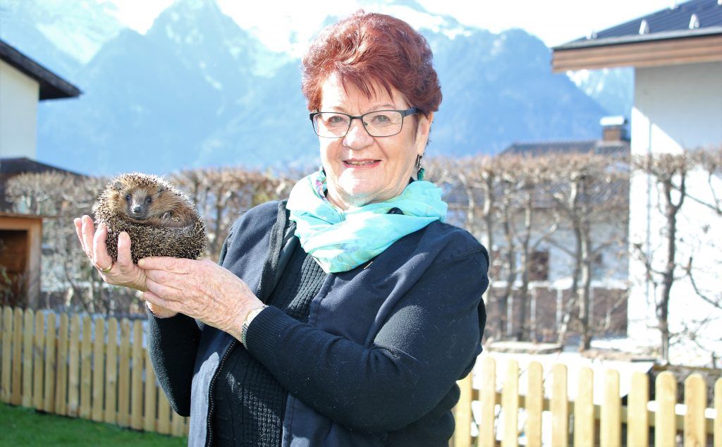 Wertvolle Hilfe für die Igelstation