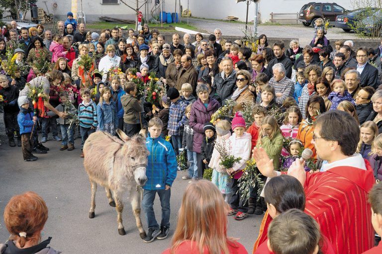 Am Palmsonntag zieht die Hatler Pfarrgemeinde mit dem Esel in die Kirche ein.  Fotos: Wohlgenannt, VN/Matt